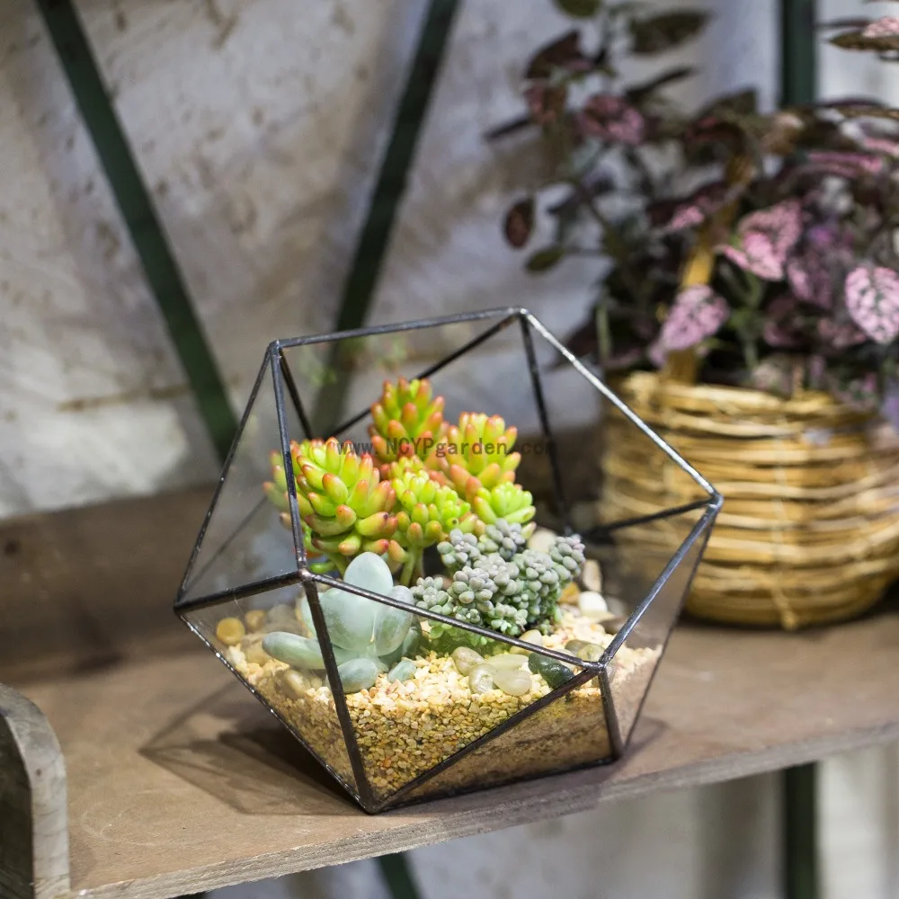 YARNOW Succulents Plant Pot Ceramic Flower Vase Conch Shaped Desktop Planter Rustic Table Vase Centerpiece Dinner Table Decoration for Party House Office Brown YARNOW Succulents Plant Pot Ceramic Flower Vase Conch Shaped Desktop Planter Rustic Table Vase Centerpiece Dinner Table Decoration for Party House Office Brown