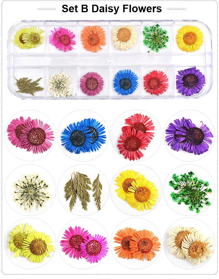 24 шт., 12 цветов, сушеные цветы, украшения для ногтей, наклейки 3d, натуральный настоящий цветок, сделай сам, наклейки, маникюрные аксессуары для ногтей