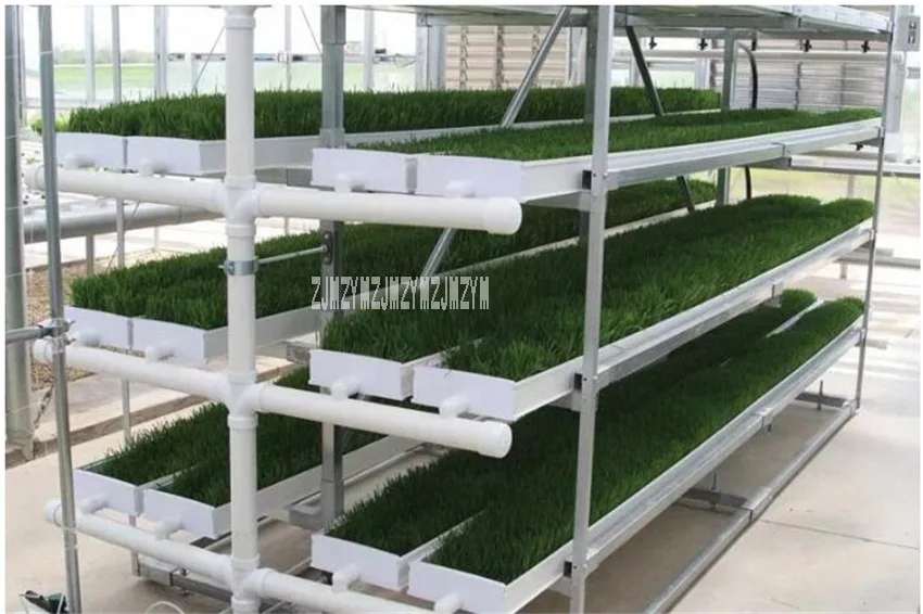 Лотки Для Микрозелени Купить Оптом От Производителя