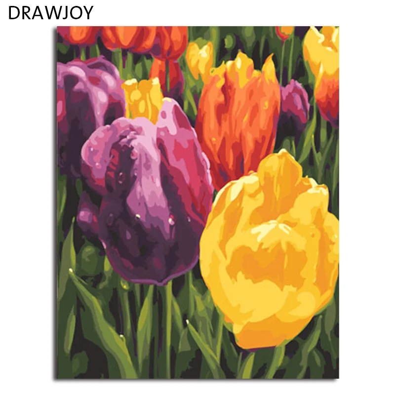 

DRAWJOY Pictures DIY Painting By Numbers Canvas Oil Painting Painting And Calligraphy Home Decor For Living Room Wall Art