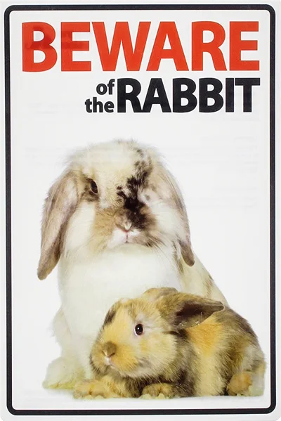 Beware of The Rabbit Plaque Vintage Metal Tin Signs Home Bar Pub Office Decorative Plate Rat Wall Sticker Garden Art Poster MN11 J