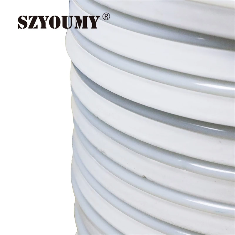 

SZYOUMY AC220V Neon Led Strip Light SMD5050 80led/M Fairy Lighting IP67 Waterproof With Eu Plug Outdoor Decoration
