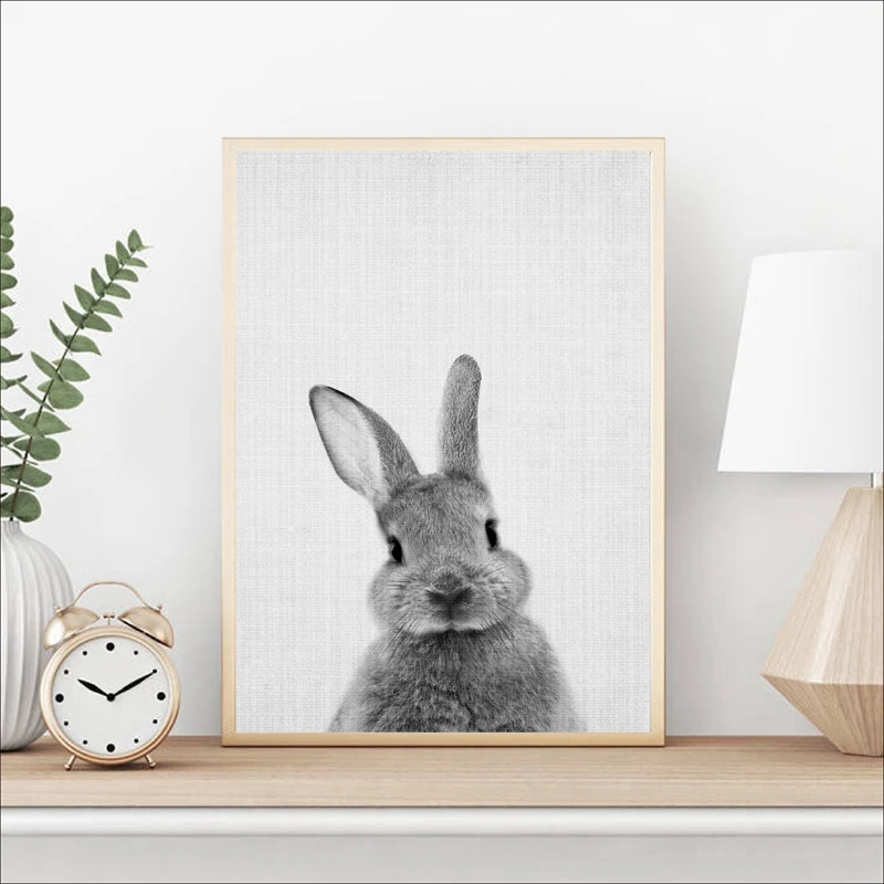 Bunny Rabbit print Poster