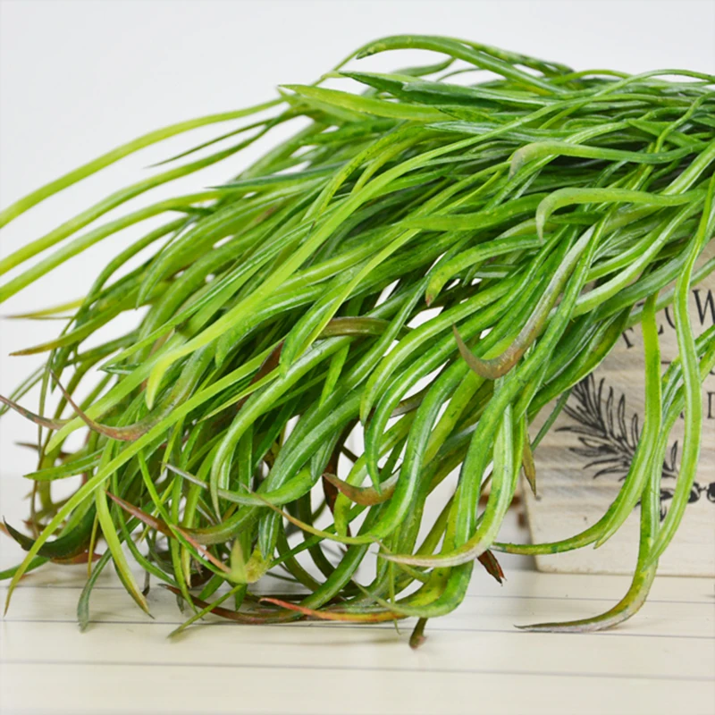 6PCS/LOT Hanging Grass Soft Flat Artificial Green Grasses Plant for Home Wedding Plant Wall Decoration Flower Pgotograph Props