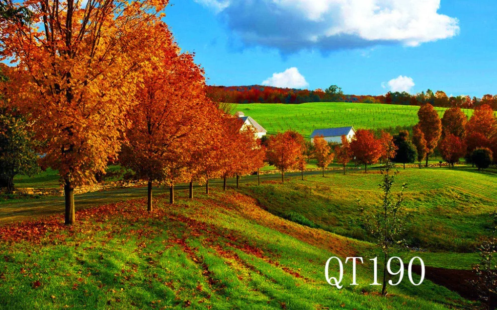 QT190