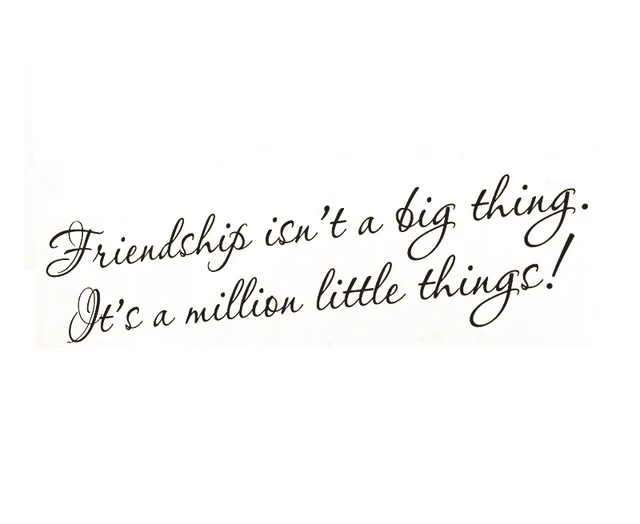 Wall Decal Quote Sticker Vinyl Art Friendship is a Million