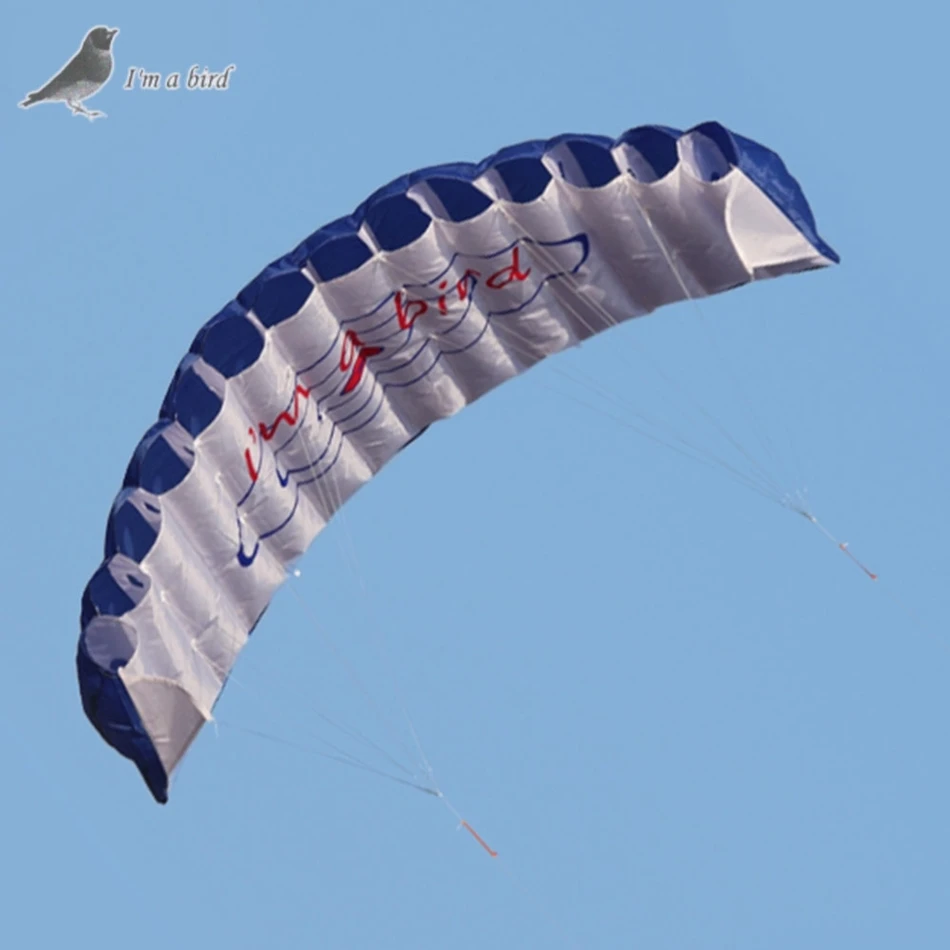 I Am A Bird 1.4M Dual Line Parafoil Kite Stunt Rainbow Sports Beach