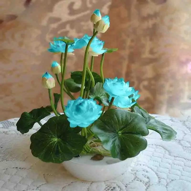 Bonsai Flower Lotus 100 Real Bowl Pots Garden Plants 5bag Best Seeds