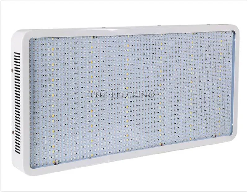 1600W (8)