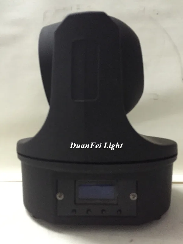 6 bee eyes moving head (2)_