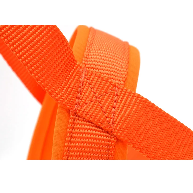 11 dog harness padded 