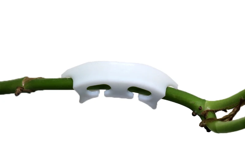 Tomato Gardening Retaining Clips 200pcs Cherry Tomatoes Tomato Stalk Support Clip Ear Clip Semicircle Reinforcing New Material