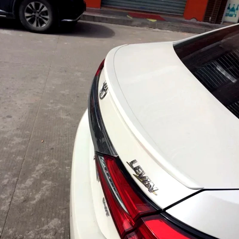 76304186