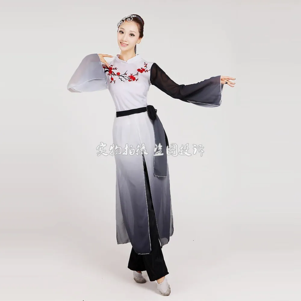 woman Gradient ink water sleeves costumes Chinese Classical dance clothes Plum tears embroidery Hanfu ancient fairy set