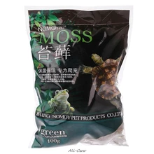 Suporte de terrário para decoração, 100g natural terrário