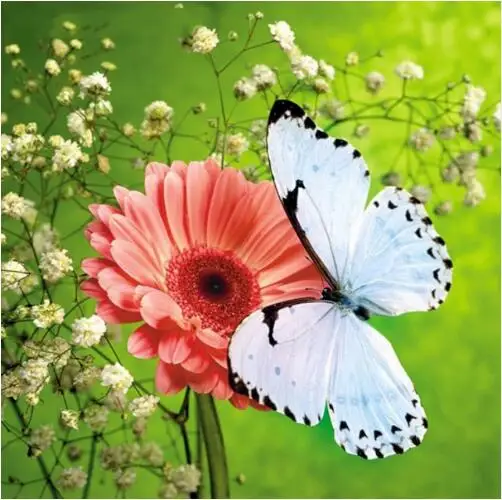 DIY Diamond Painting Butterfly &amp Flowers Cross Stitch Kits Full Mosaic Crystal Embroidery Patterns Rhinestone | Дом и сад