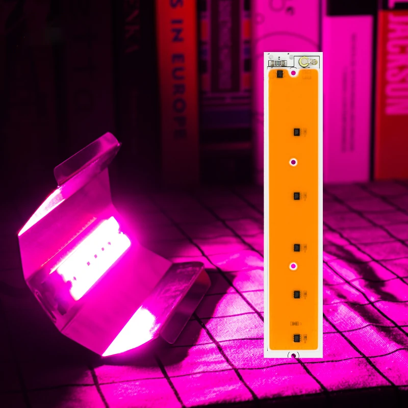 

220V LED Grow Lamp 50W 100W LED Flood Lights Spotlight Fitolamp lodine Lamp For Indoor Plant and Flower Seedling Light EU Plug