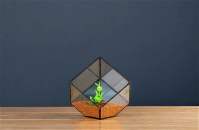 Plant Solder Terrarium 8.jpg