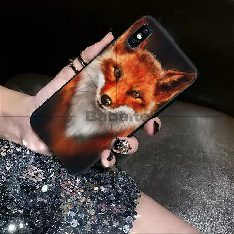 Animal More Cute Fox cat