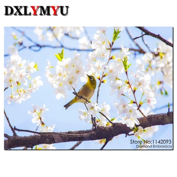 

Bird And Flower Picture Of 3D DIY Diamond Painting Cross Stitch Kit ,Square Rhinestone Diamond Mosaic Embroidery pattern