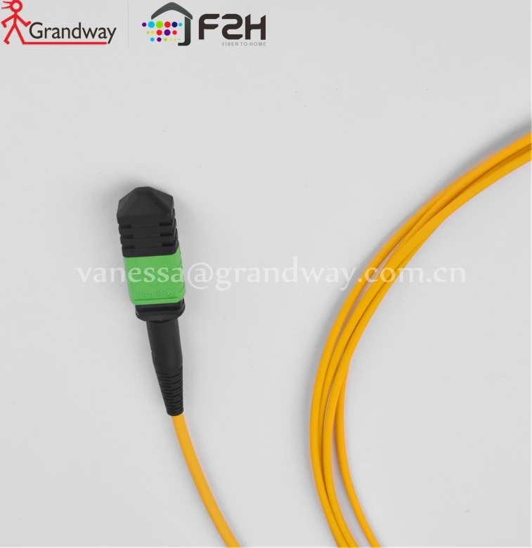 [Grandway ] 24 волокна MPO Male-MPO Female type B OS2 SingleMode 9/125um LSZH Низкая потеря магистральный кабель 1 м