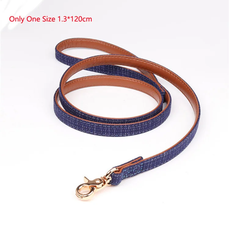 dogs Collars (10)