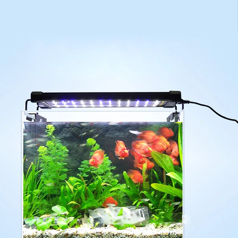 aquarium lights (8)