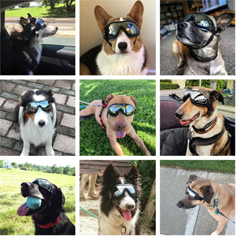 Dog Sunglasses UV Protection Windproof Goggles Pet Eye Wear Medium Large Dog Swimming Skating Glasses Accessaries Pet Supplies10