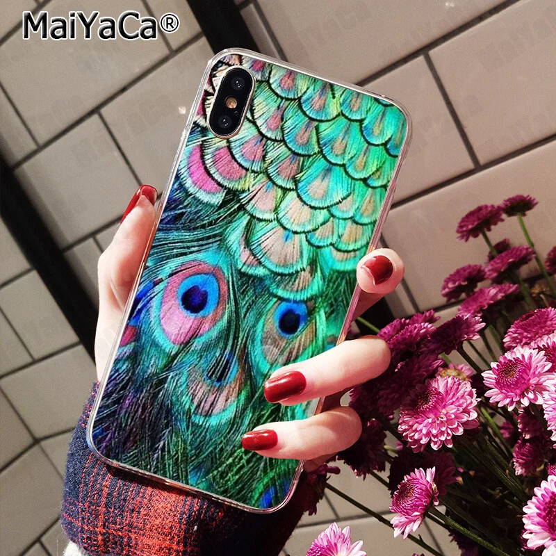 Pretty Peacock Scenery