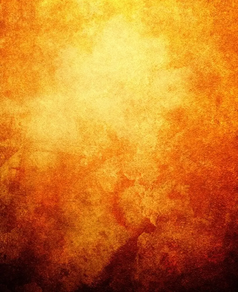 

SHANNY Vinyl Custom Photography Backdrops Prop Digital Printed Vintage theme Photography Background HCH7-215