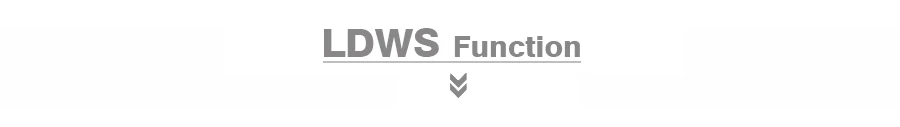 LDWS