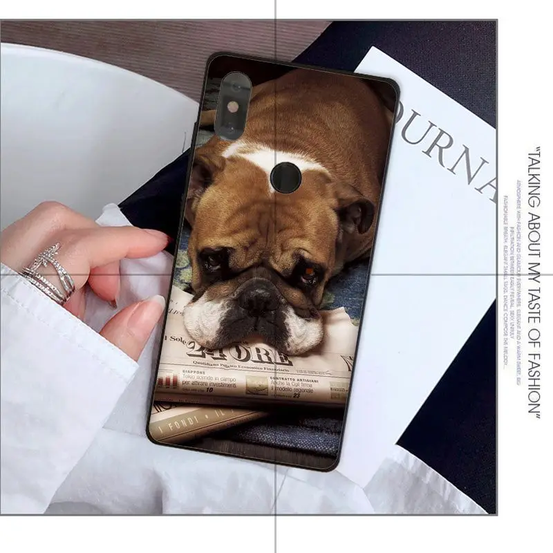 Pug seen things dog Hat Reading Art