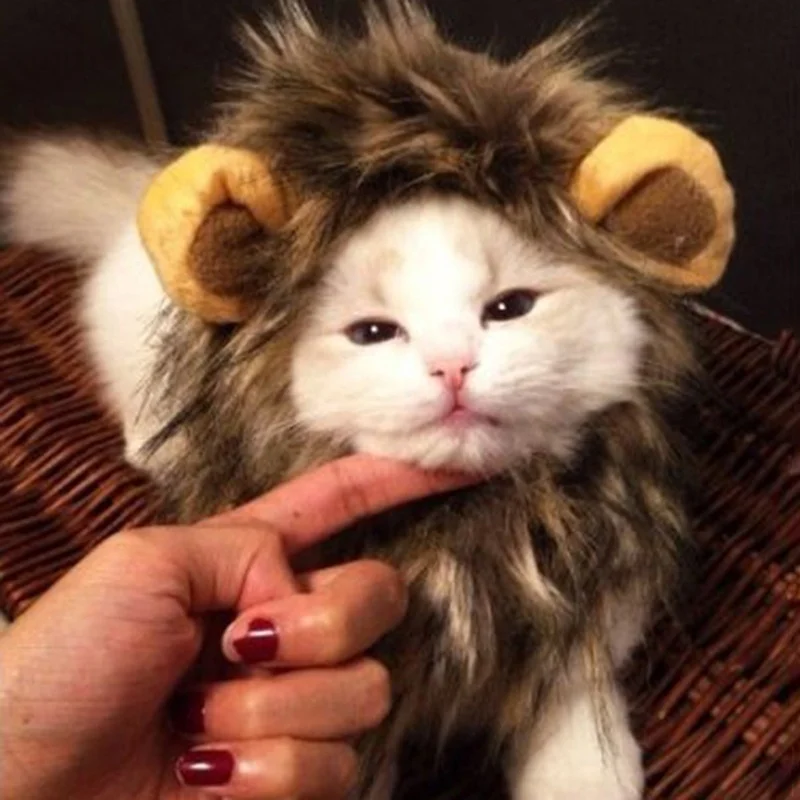 

Cut Pet Wig with Ears for Dogs or Cats, Christmas Cosplay Costumes Festival Party Clothes Fancy Dress up