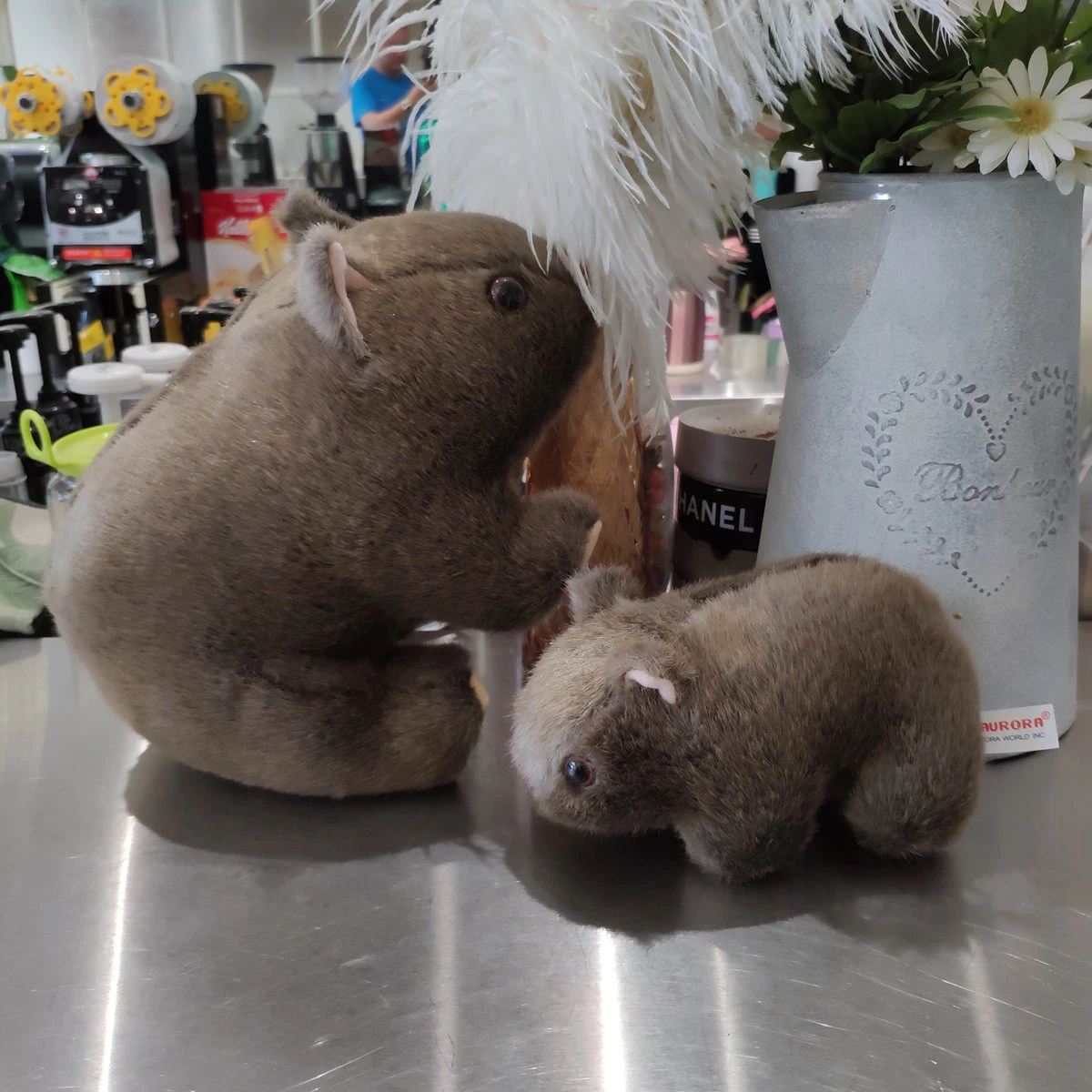 stuffed groundhog toy