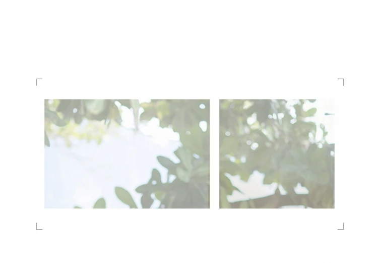 0c_conew1