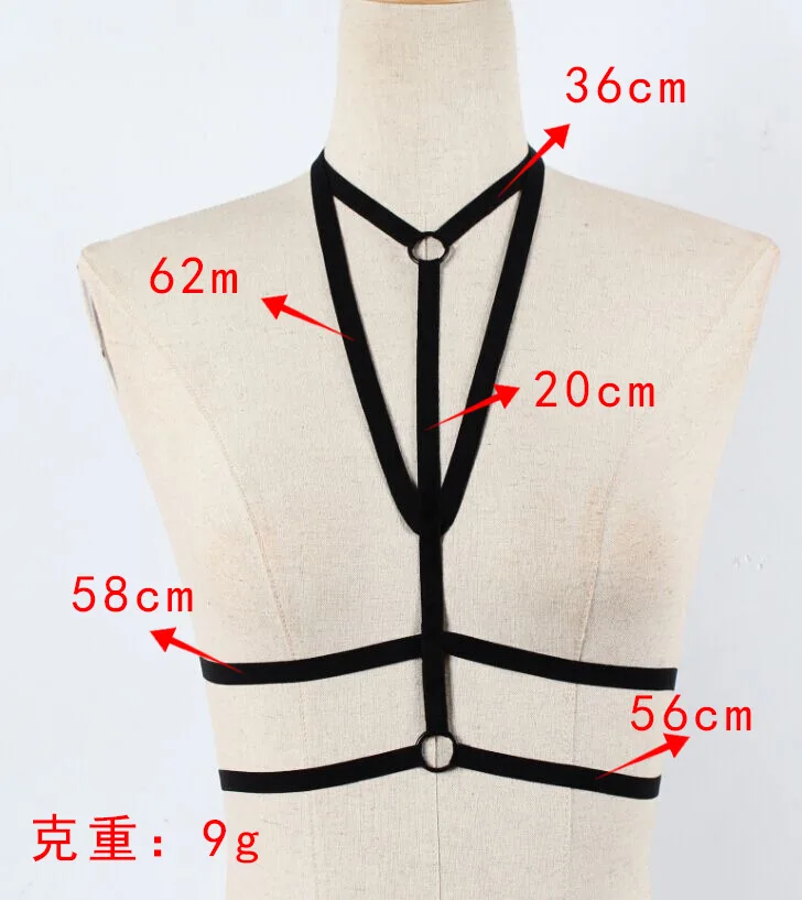 8698622093_741428826