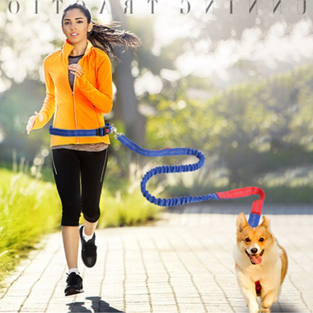 7 Colors Hands free Dog Lead Walking Running Jogging Waist Belt Leash Adjustable