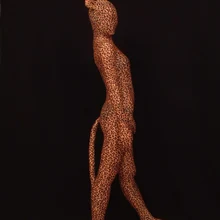 Полный лайкра спандекс Zentai облегающий Костюм Leopard Тигра комбинезон купальник нарядное платье