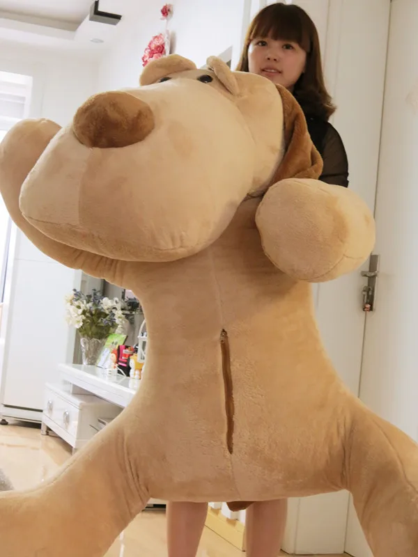 ���, �������� ������� � ���� ���