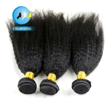 Charming Brazilian Kinky Straight Unprocessed Virgin Hair Bundles Remy Hair Brazilian Hair Bundles Human Hair Kinky Straight