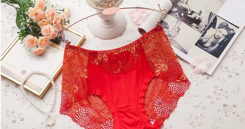 Underwear Women Briefs Sexy Women's Panties Full Transparent Lace Seamless Sexy Plus Size Women Cotton Underwear Panty 29