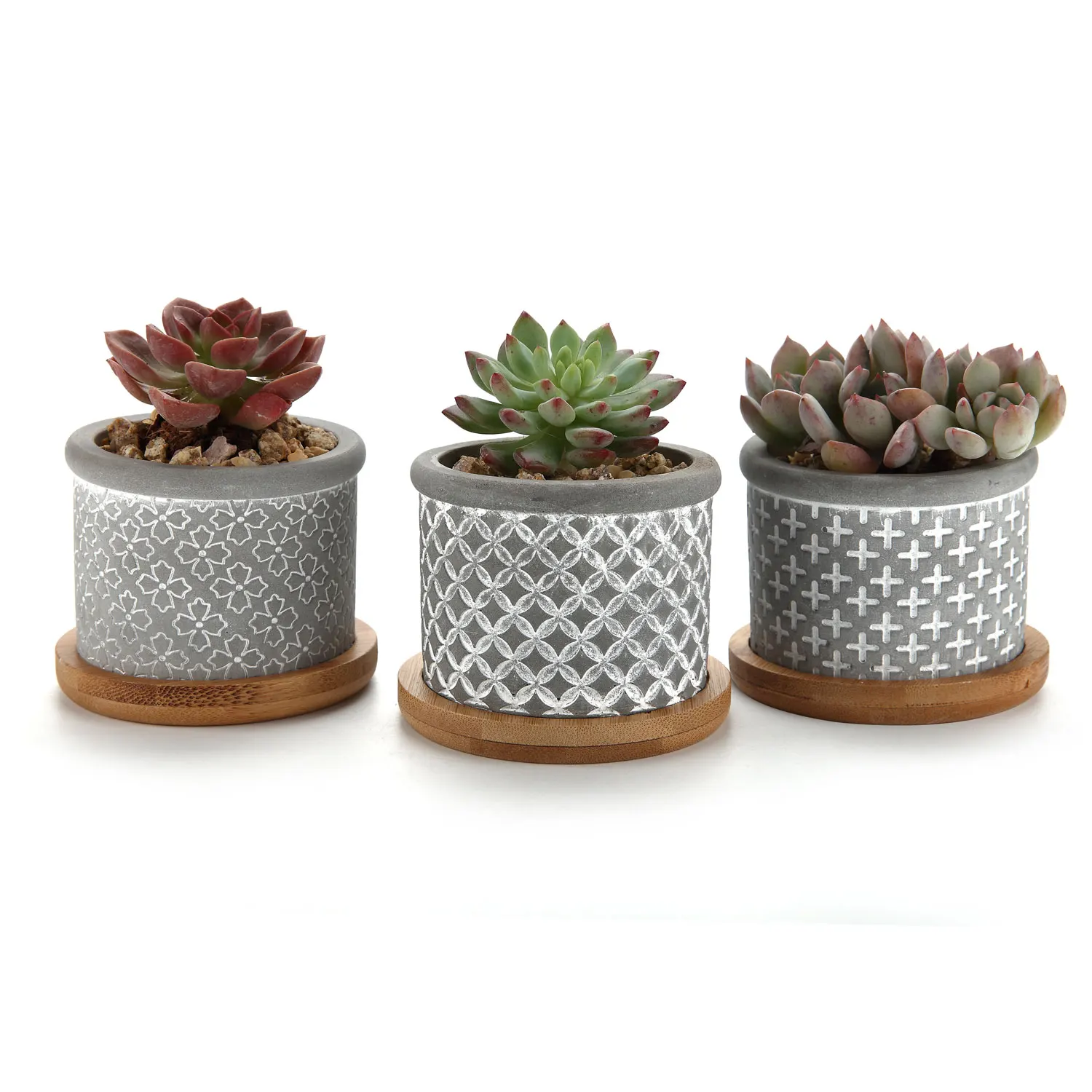 T4U Cement Succulent Planter Pot Grey Set Small Concrete Cactus Plant
