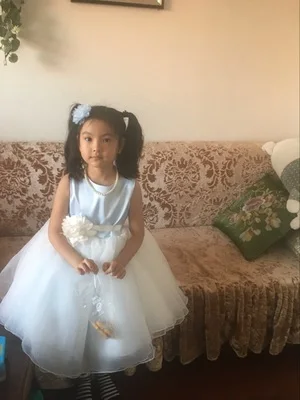 Г. Платье принцессы; элегантный светильник; голубое свадебное платье для маленьких девочек; кружевное фатиновое платье для дня рождения; элегантное платье с цветочным узором для девочек