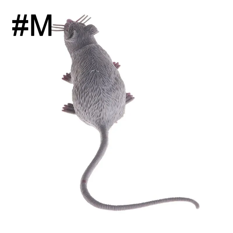 2N5M5_2,2N5M5_5,2N5M5_8-C8