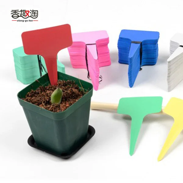 Aliexpress Nursery Plant Tag T Type Plastic Label Aliexpress Nursery Plant Tag T Type Plastic Label Garden Pots Planters Flower Thick Marker 5pcs 6 10cm From