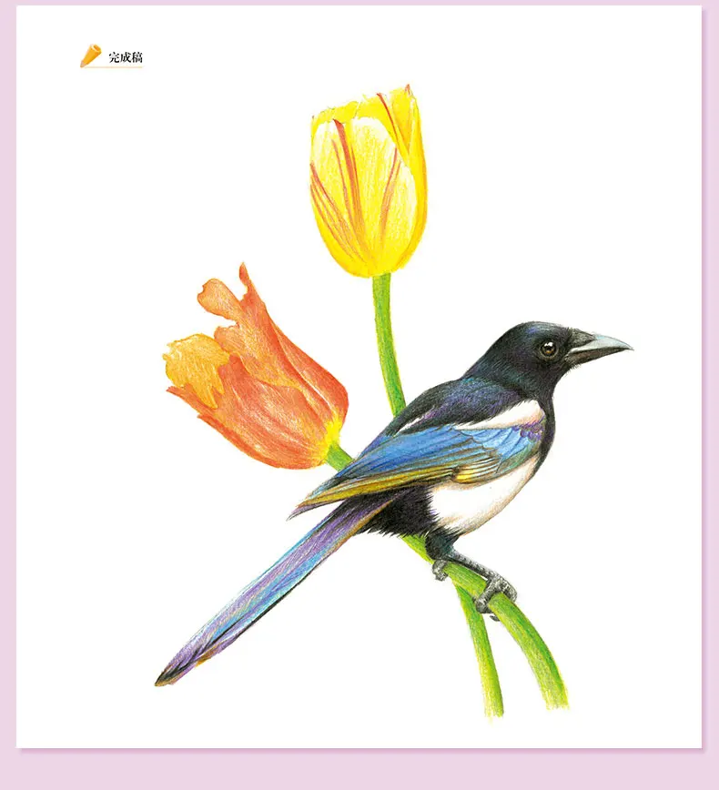Классическая цветная книга с цветами и птицами, нулевая основа, альбом с цветами и птицами, ручная роспись, цветная книга для детей и взрослых