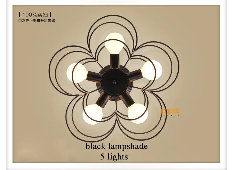 XC-8017 Ceiling lighting (13)_A