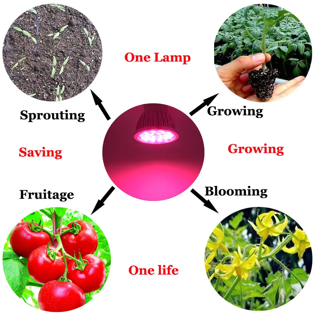 grow light 2