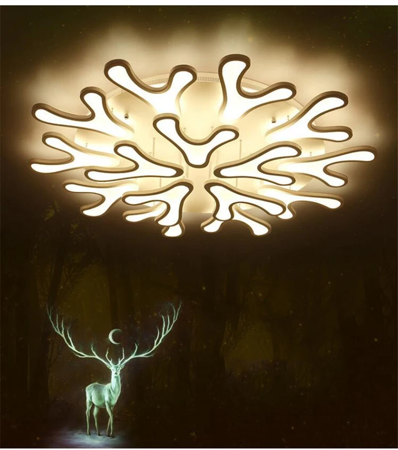 Post modern ceiling lamp (8)