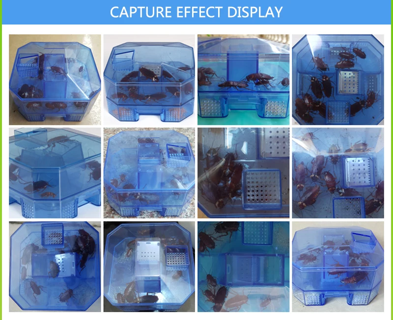 Из таракана Ловушка Борьба с вредителями обновления безопасные содержит приманки вы можете использовать пищевой качестве приманки для